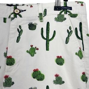 Cactus Man Ricky Singh Mens White Embroidered Cactus Chino Shorts Size 34